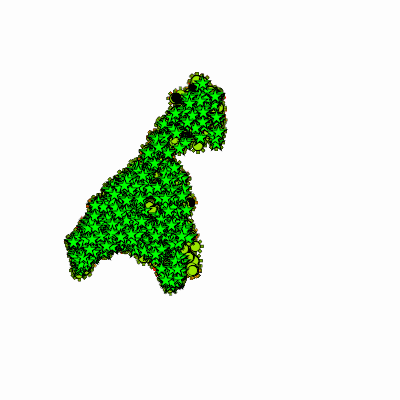 Export Image