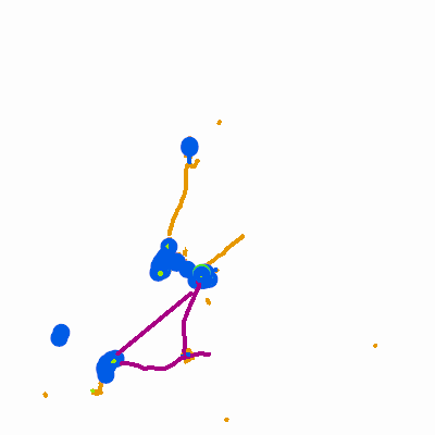 Export Image